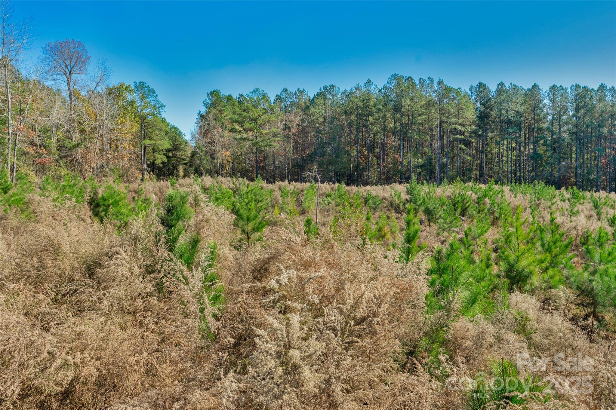 0 Beaker Road, Unit 5 Heath Springs, SC 29058 - Photo 22 of 28 Gallery Image 22