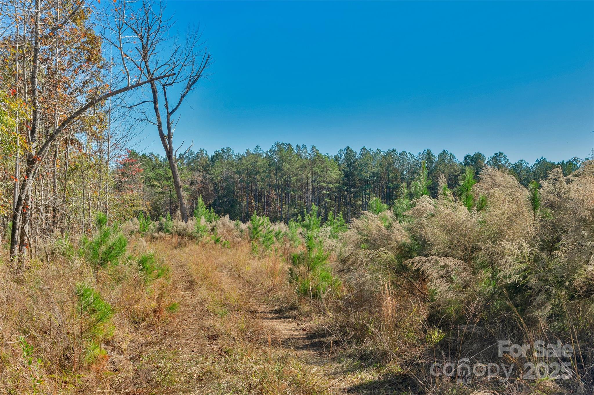 0 Beaker Road, Unit 5 Heath Springs, SC 29058 - Photo 23 of 28 Gallery Image 23