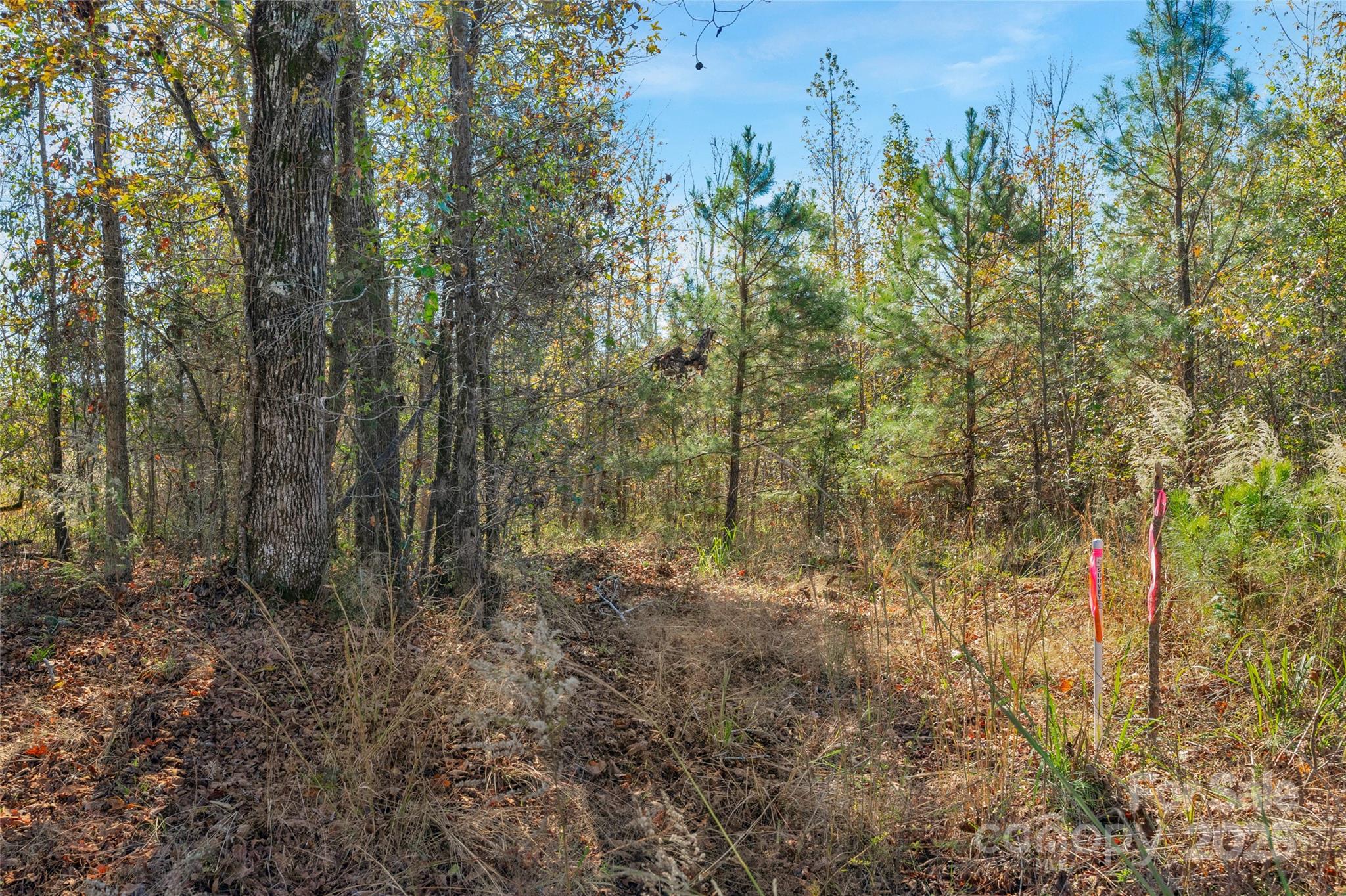 0 Beaker Road, Unit 5 Heath Springs, SC 29058 - Photo 24 of 28 Gallery Image 24