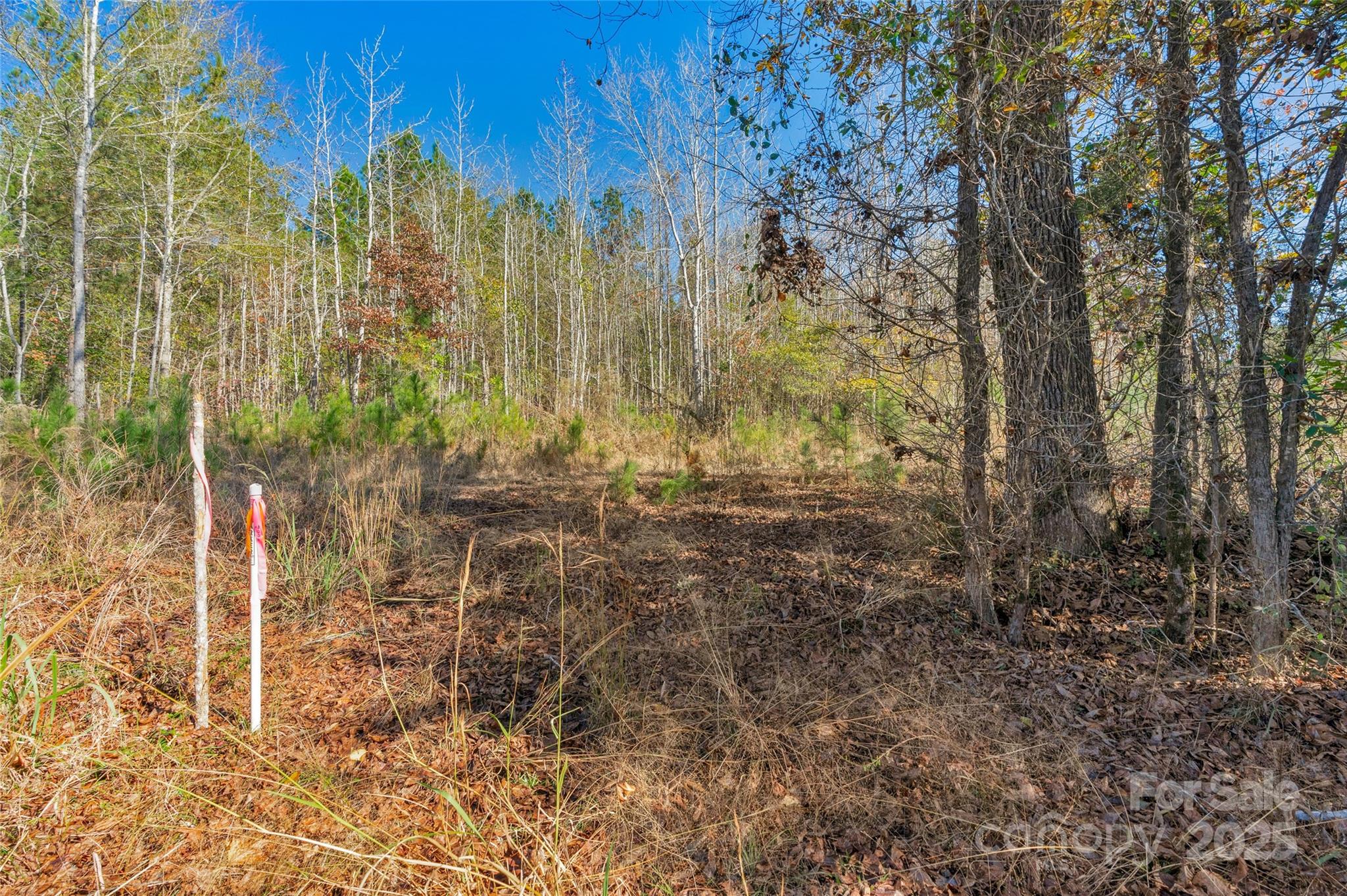 0 Beaker Road, Unit 5 Heath Springs, SC 29058 - Photo 25 of 28 Gallery Image 25