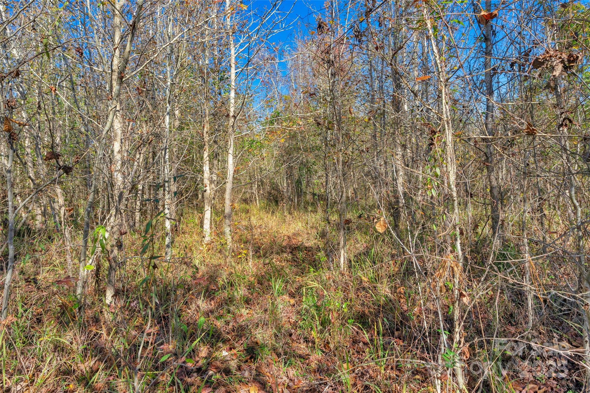 0 Beaker Road, Unit 5 Heath Springs, SC 29058 - Photo 26 of 28 Gallery Image 26
