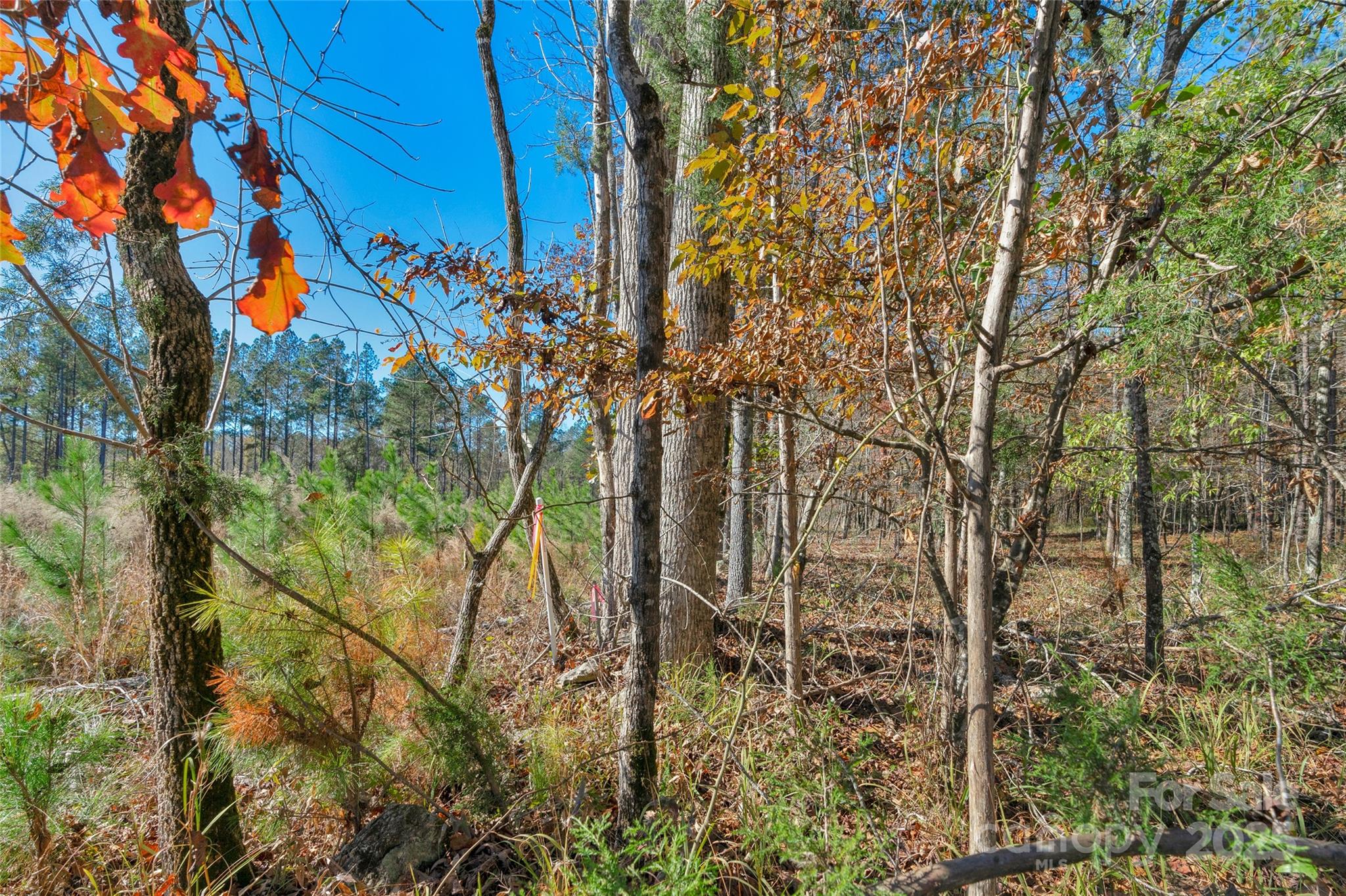 0 Beaker Road, Unit 5 Heath Springs, SC 29058 - Photo 27 of 28 Gallery Image 27
