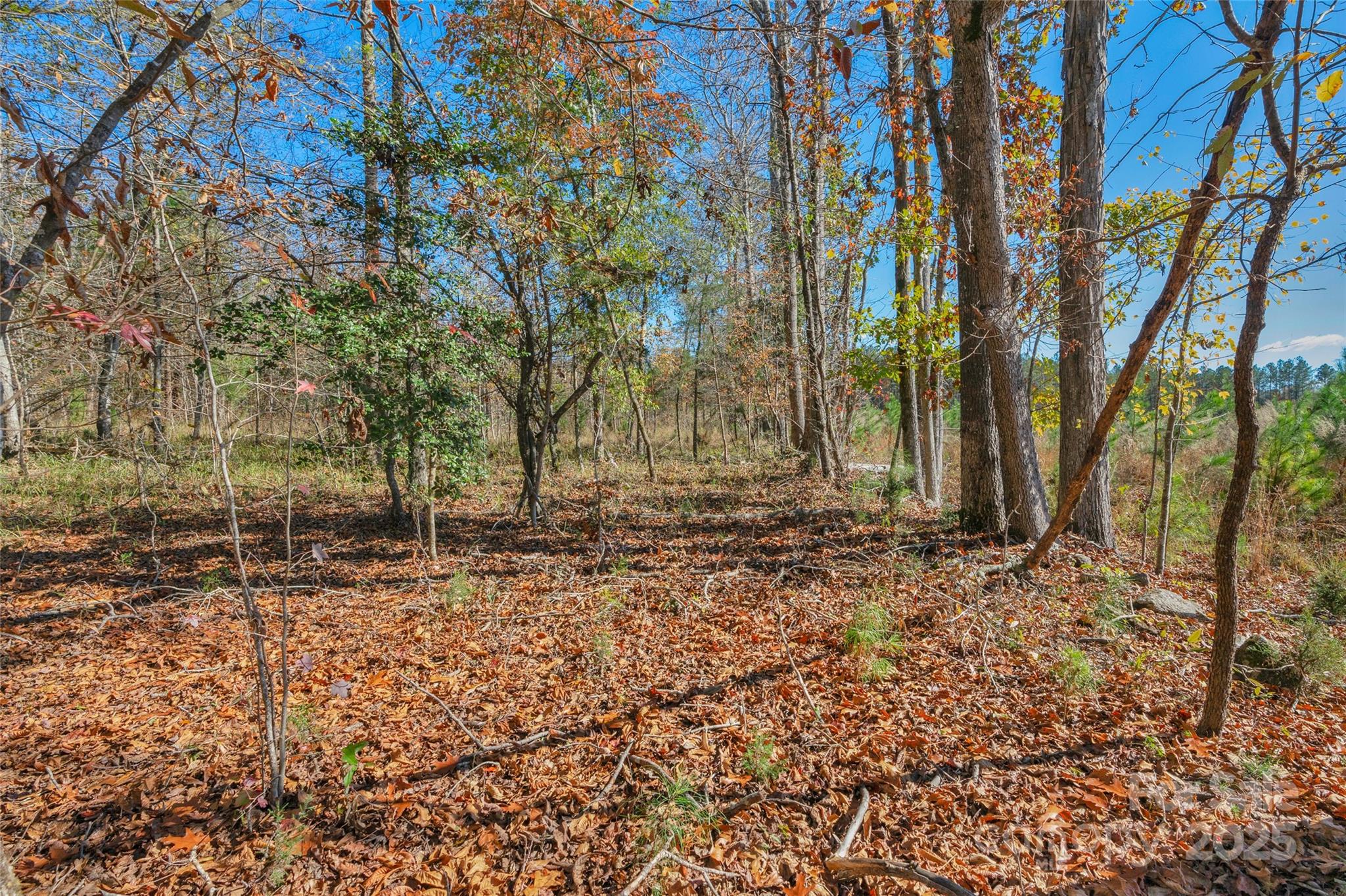 0 Beaker Road, Unit 5 Heath Springs, SC 29058 - Photo 28 of 28 Gallery Image 28