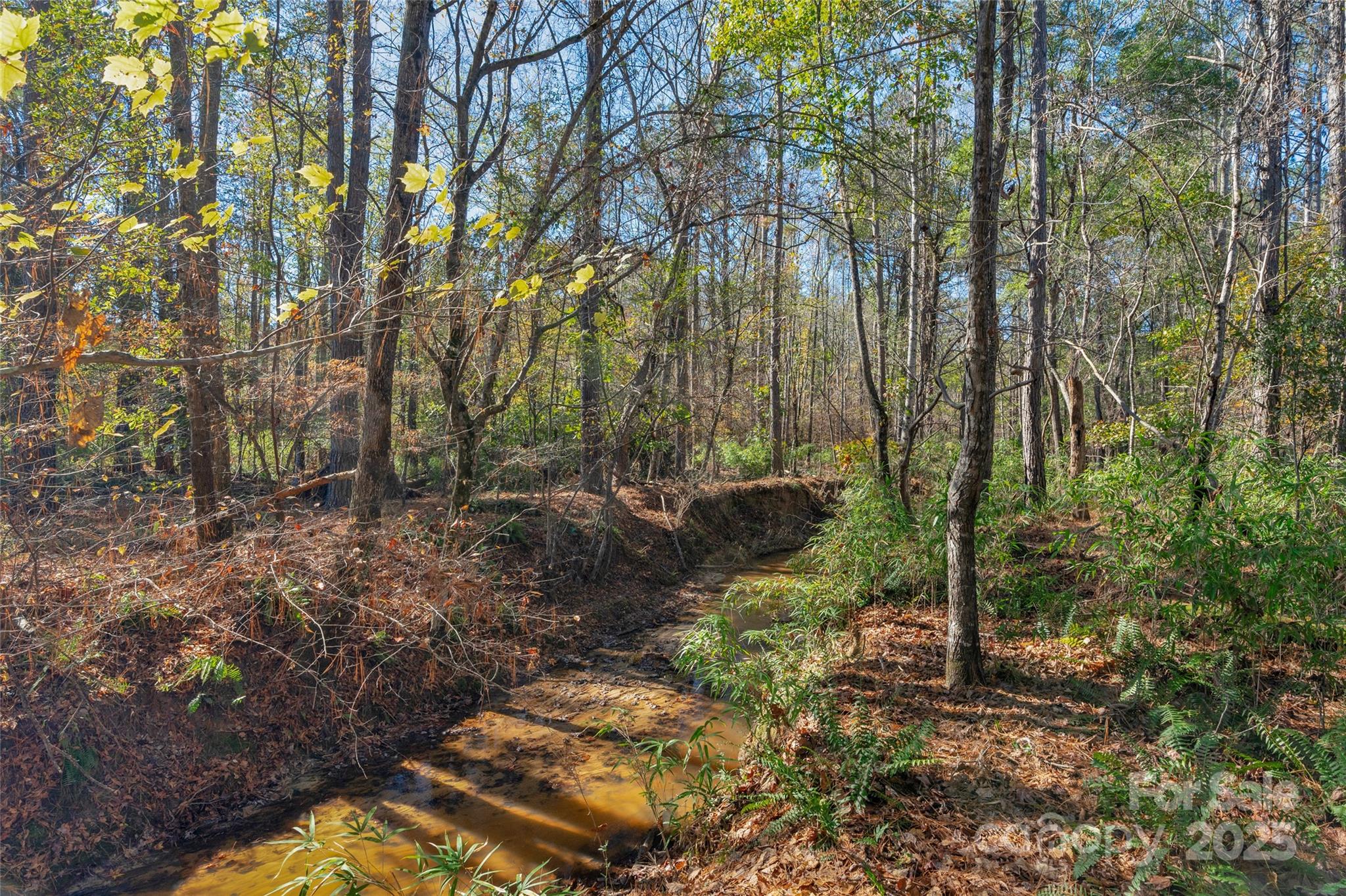 0 Beaker Road, Unit 5 Heath Springs, SC 29058 - Photo 3 of 28 Gallery Image 3