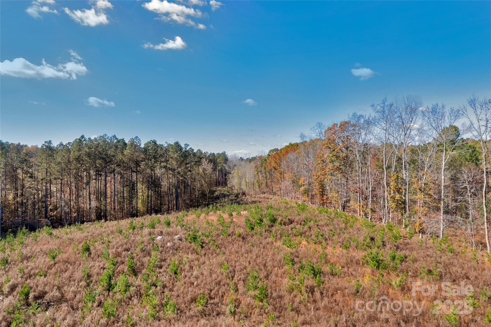 0 Beaker Road, Unit 5 Heath Springs, SC 29058 - Photo 6 of 28 Gallery Image 6