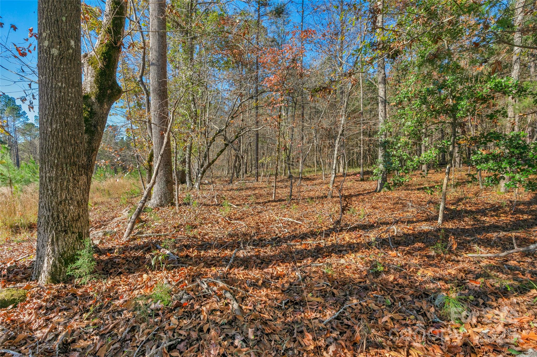 0 Beaker Road, Unit 5 Heath Springs, SC 29058 - Photo 7 of 28 Gallery Image 7