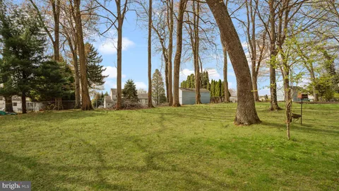 a view of a park with trees