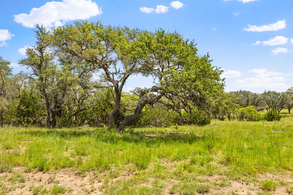 350 Brecken Ranch Road Fredericksburg, TX 78624 - Photo 3 of 10