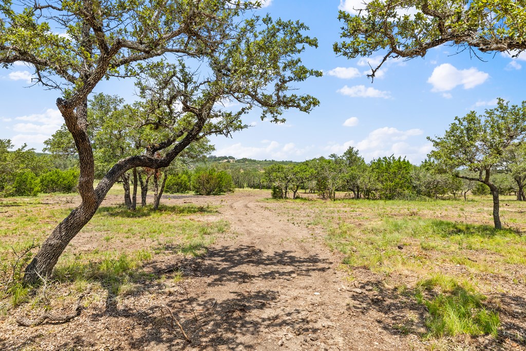 350 Brecken Ranch Road Fredericksburg, TX 78624 - Photo 4 of 10
