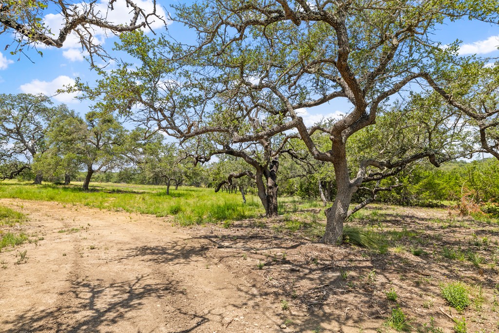 350 Brecken Ranch Road Fredericksburg, TX 78624 - Photo 6 of 10