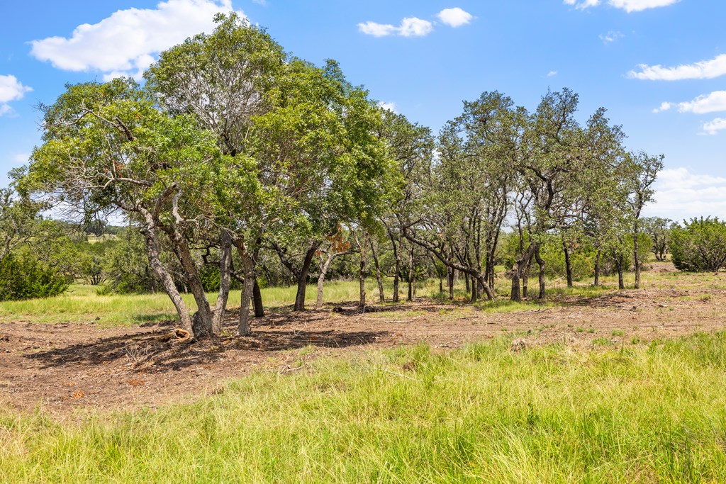 350 Brecken Ranch Road Fredericksburg, TX 78624 - Photo 8 of 10