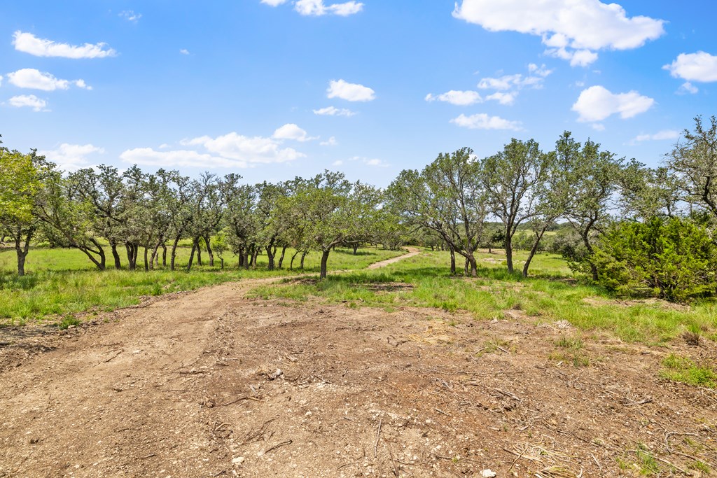 350 Brecken Ranch Road Fredericksburg, TX 78624 - Photo 9 of 10