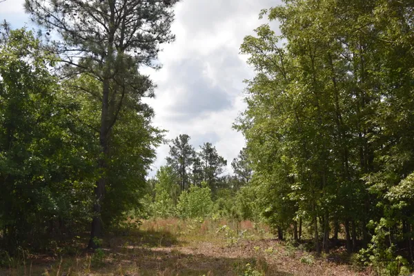 $20,000 | Tbd Tbd Hawthorne Drive, Kingstree, SC 29556