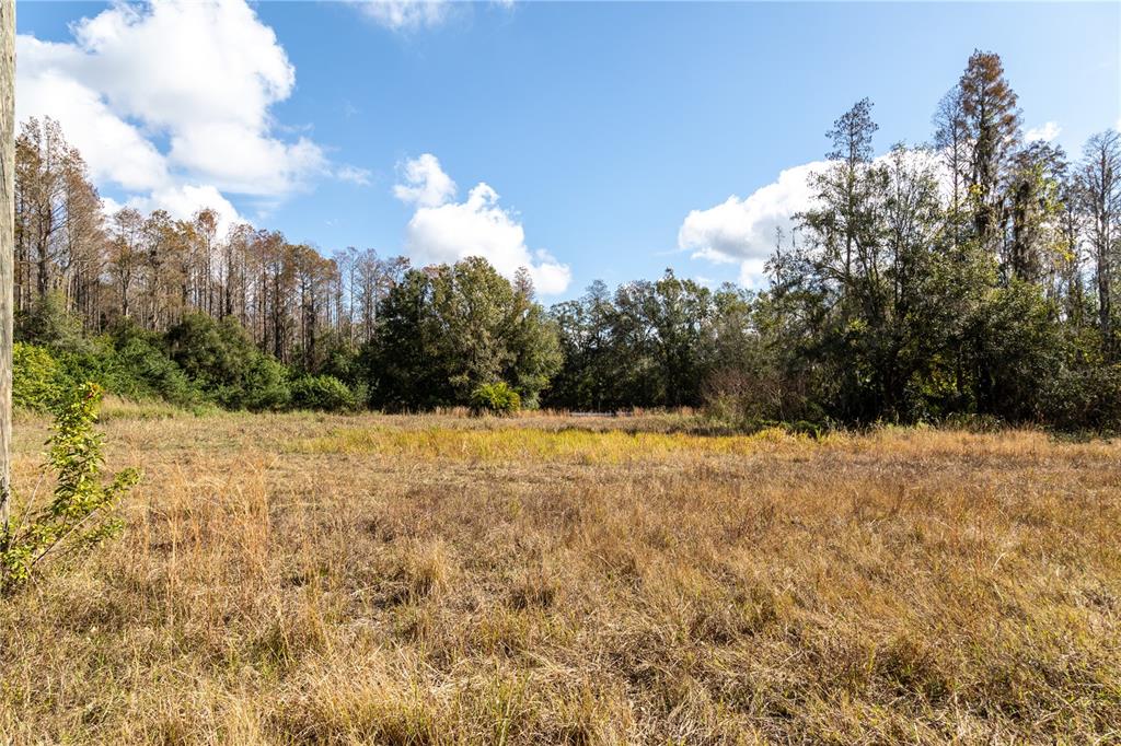 11560 Tarpon Springs Road Odessa, FL 33556 - Photo 11 of 17 a view of a yard