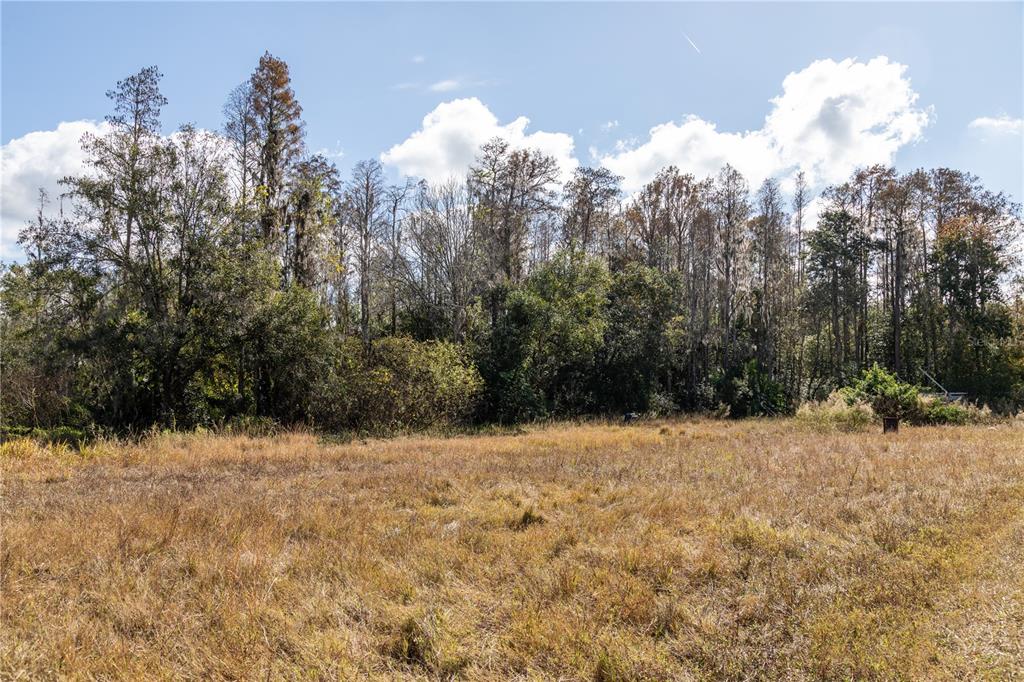 11560 Tarpon Springs Road Odessa, FL 33556 - Photo 12 of 17 a view of a yard