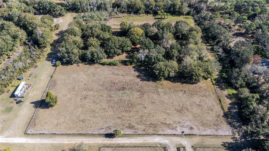 11560 Tarpon Springs Road Odessa, FL 33556 - Photo 5 of 17 a view of a yard with large trees