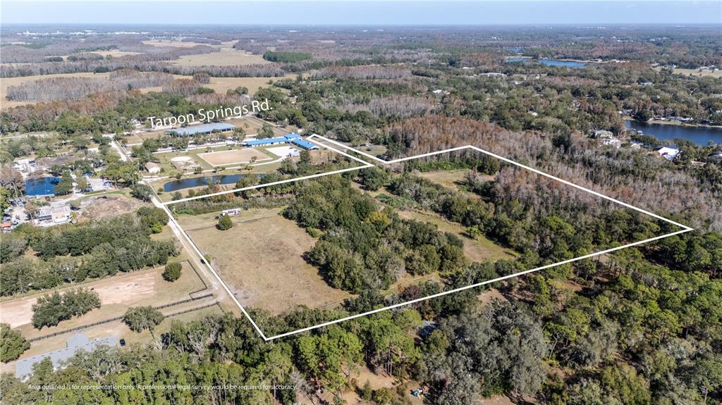 11560 Tarpon Springs Road Odessa, FL 33556 - Photo 8 of 17 an aerial view of a house with a yard