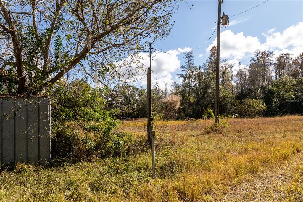 11560 Tarpon Springs Road Odessa, FL 33556 - Photo 10 of 17 a view of a yard with trees