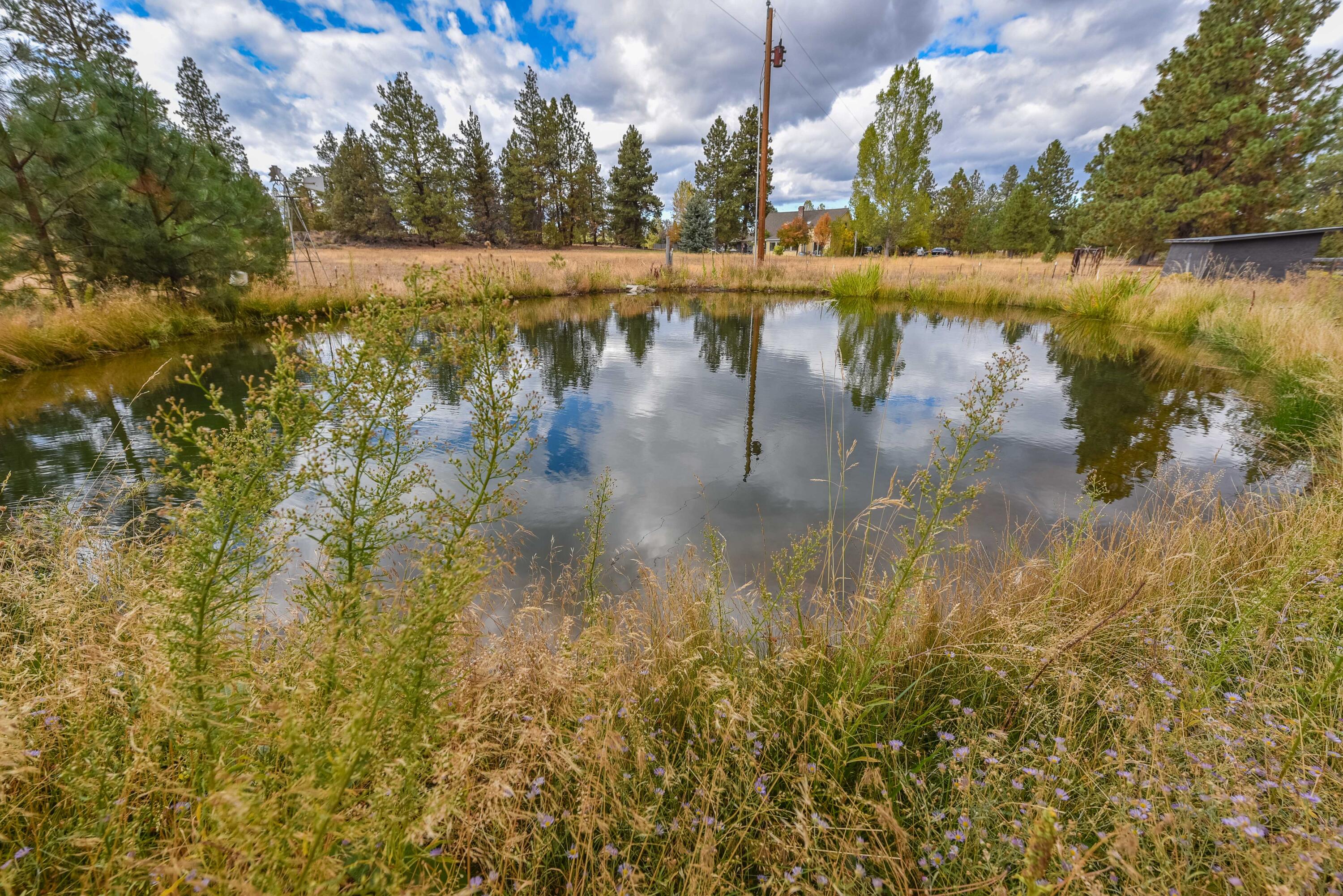 21698 Rickard Road Bend, OR 97702 - Photo 12 of 51 Large irrigation pond on the property. There are two. More pictures of the property and ponds as you scroll through.