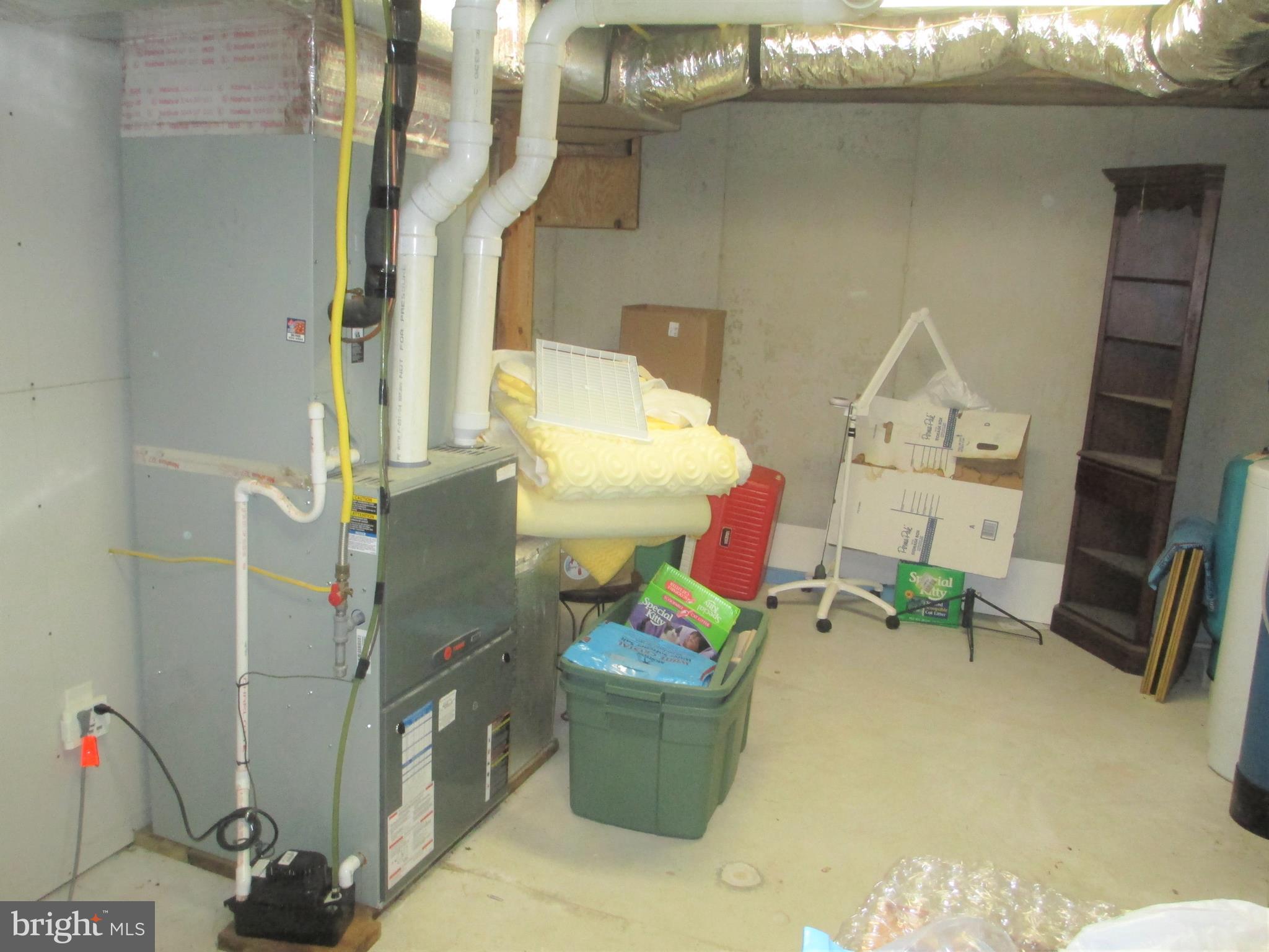 3721 Williamsville Road Houston, DE 19954 - Photo 46 of 53