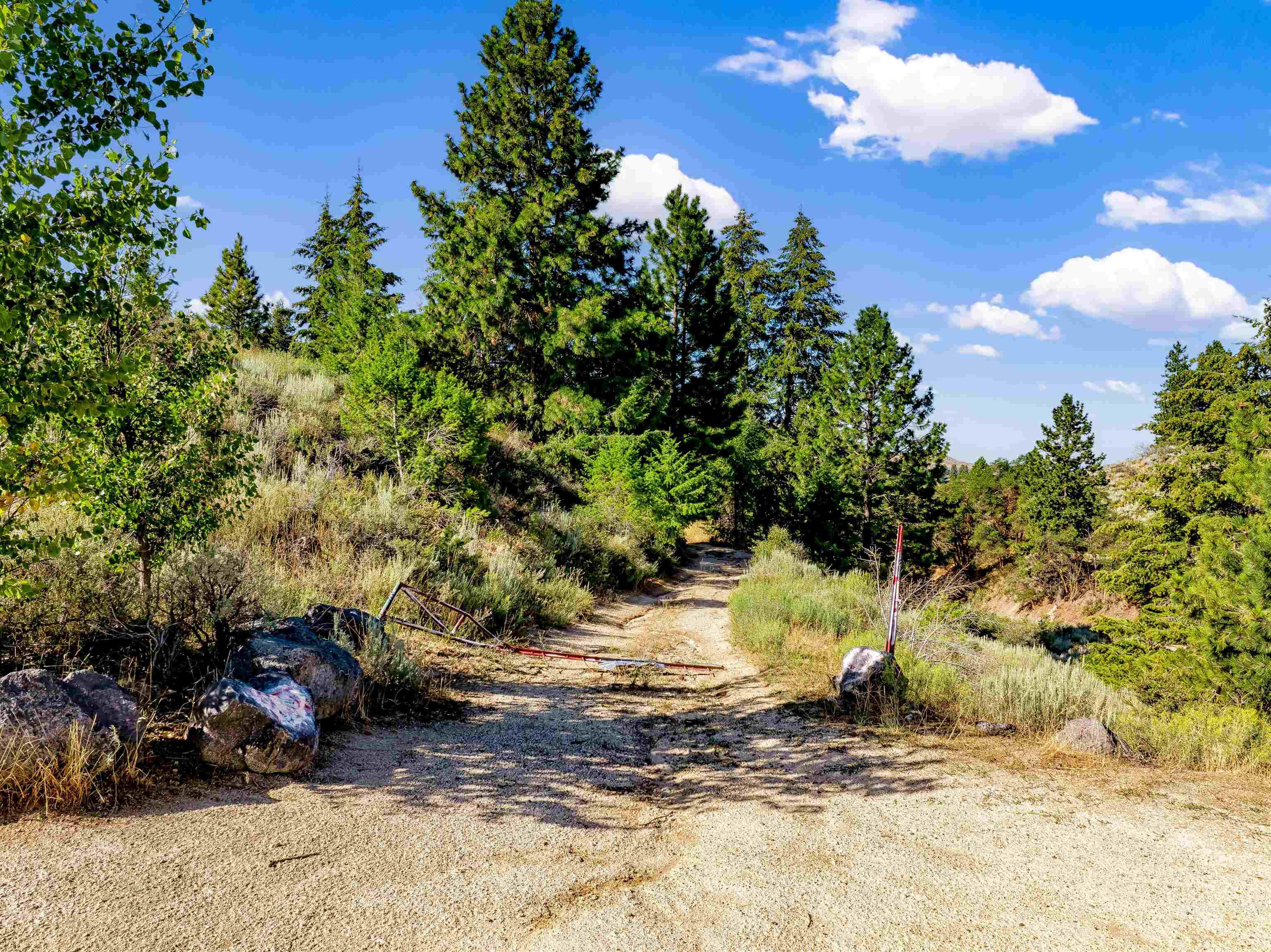 Tbd Shaw Mountain Road Boise, ID 83712 - Photo 3 of 27 Gallery Image 3
