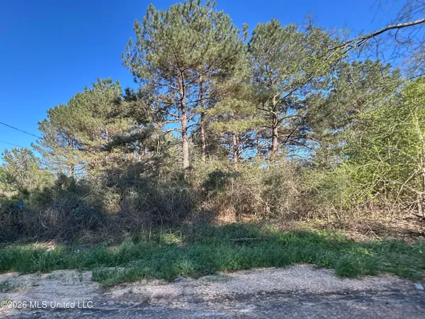 $55,000 | 152 New Hope-Kokomo Road, Foxworth, MS 39483