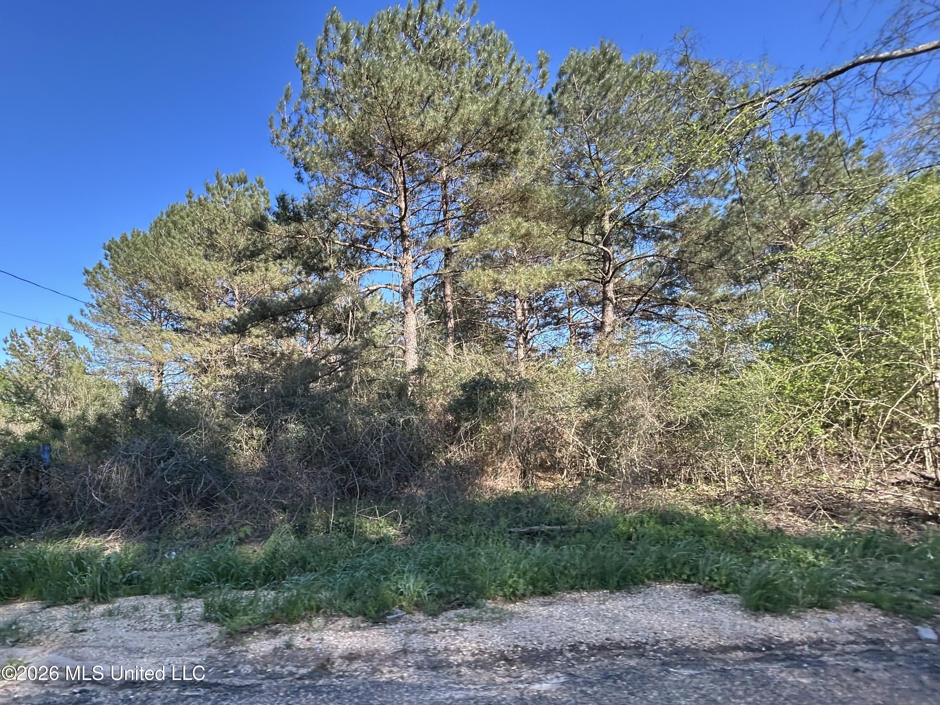 152 New Hope-Kokomo Road Foxworth, MS 39483 - Photo 4 of 5 IMG_3675