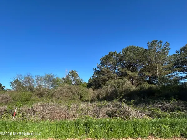 $55,000 | 152 New Hope-Kokomo Road, Foxworth, MS 39483