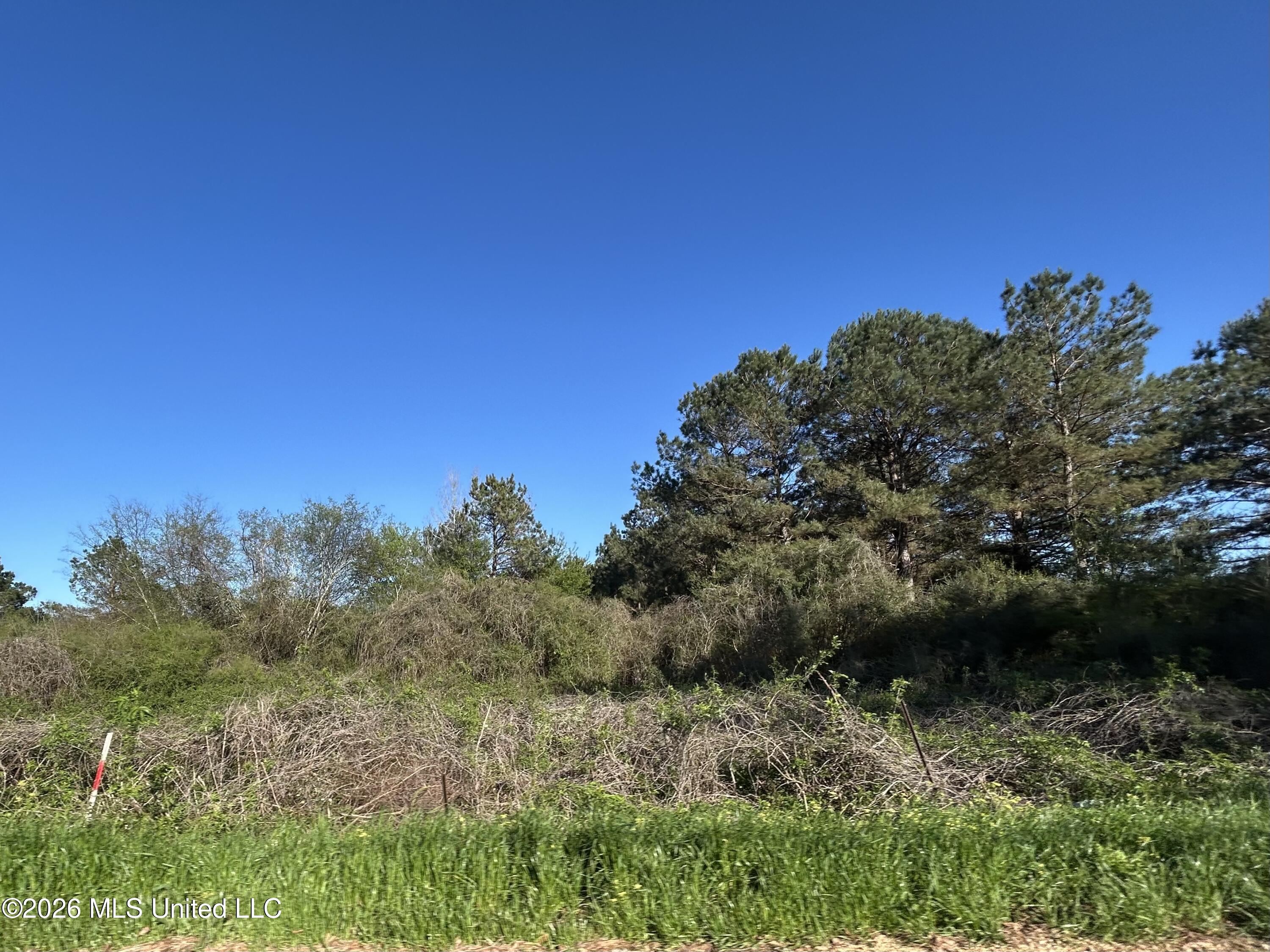 152 New Hope-Kokomo Road Foxworth, MS 39483 - Photo 5 of 5 IMG_3679