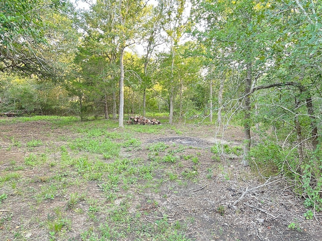 117 Caddo Smithville, TX 78957 - Photo 13 of 19 View of local wilderness