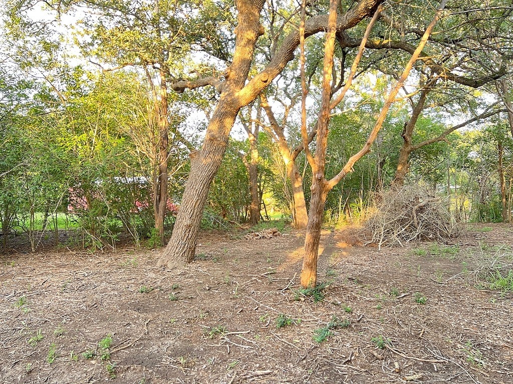 117 Caddo Smithville, TX 78957 - Photo 14 of 19 View of local wilderness