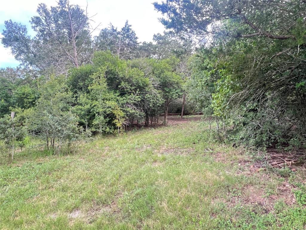 117 Caddo Smithville, TX 78957 - Photo 4 of 19 View of yard