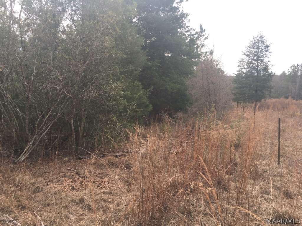 12 Acres Crockett Road Samson, AL 36477 - Photo 4 of 9 Gallery Image 4