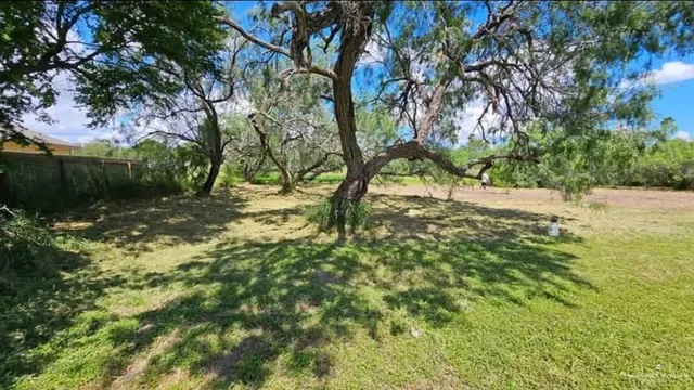 $39,000 | 0 Mcfetridge Street, Harlingen, TX 78550