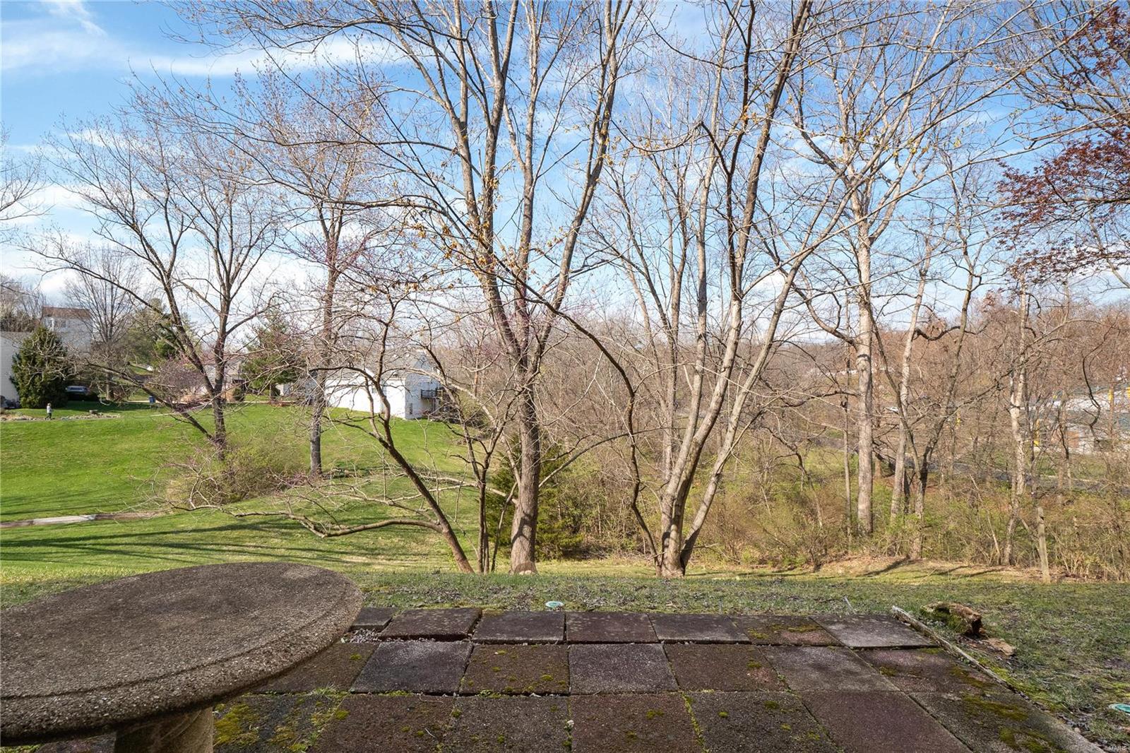126 Cascade Terrace Drive Ballwin, MO 63021 - Photo 19 of 21 Gallery Image 19