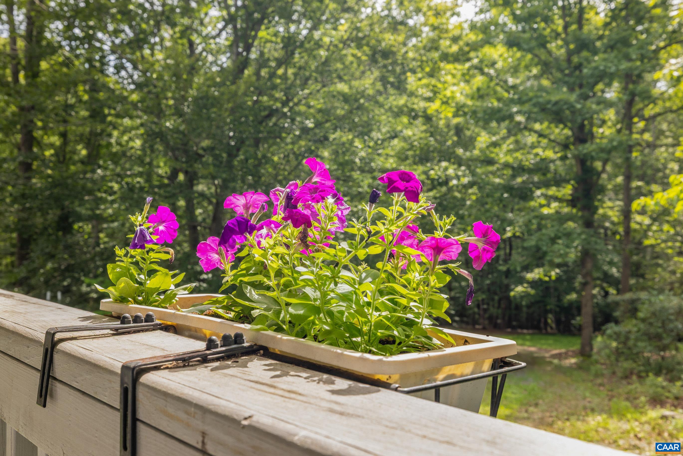2525 Plank Road Esmont, VA 22937 - Photo 3 of 48 Gallery Image 3