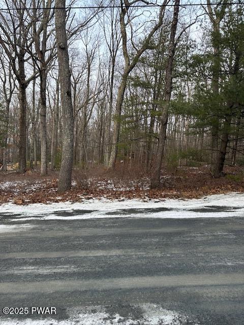 Lot 6 Sagamore Road Shohola, PA 18458 - Photo 4 of 5