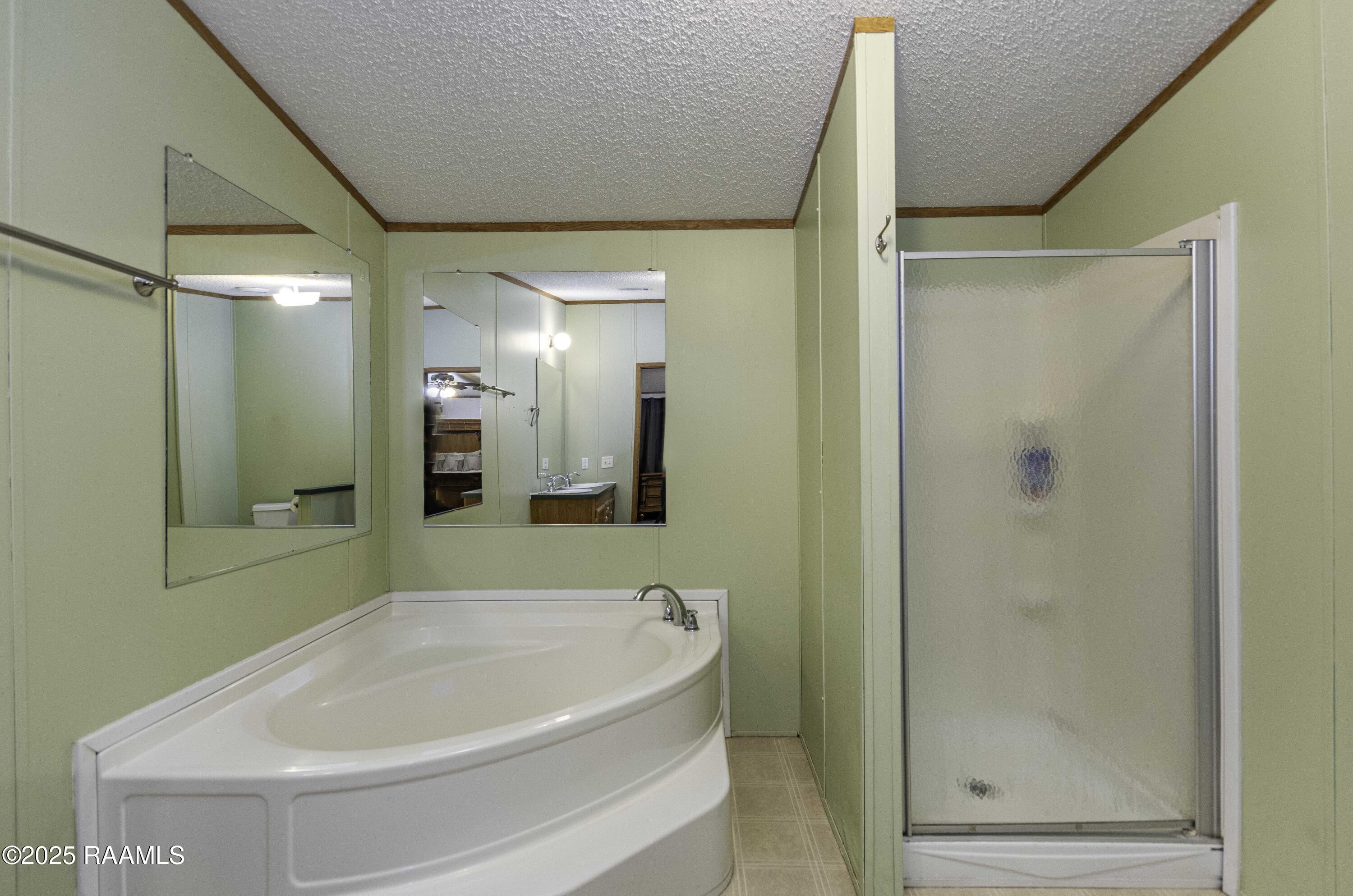 123 Whitmore Road Scott, LA 70583 - Photo 14 of 25 Master Bath 2