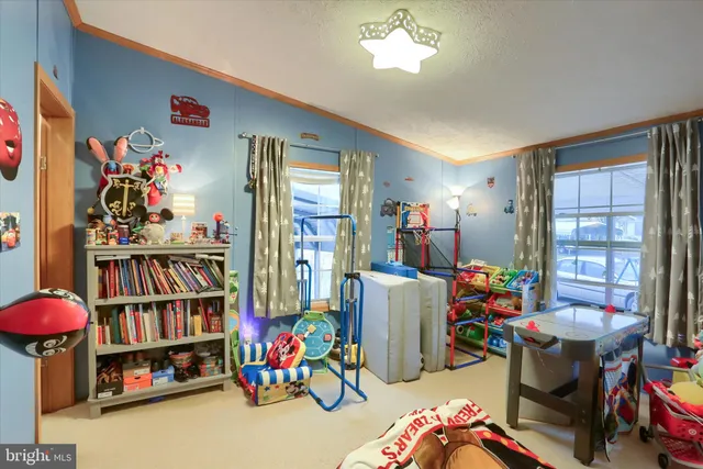 a room with furniture a rug toys and a window