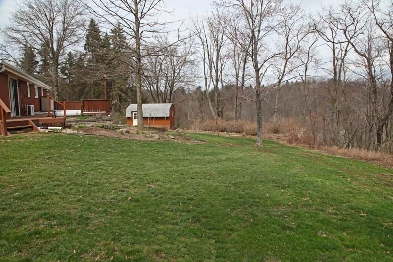 2356 Nicholson Road Franklin Park, PA 15143 - Photo 3 of 24 Yards of Yard.... Lots of Privacy!