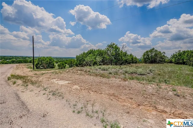 a view of a yard with a tree