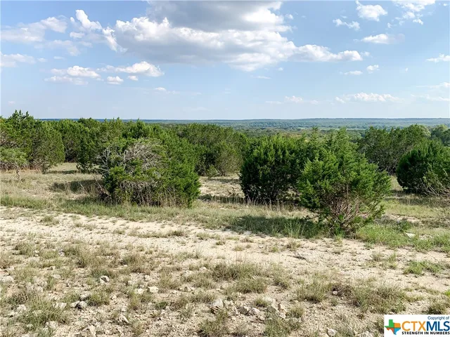 a view of a lake with trees in the background