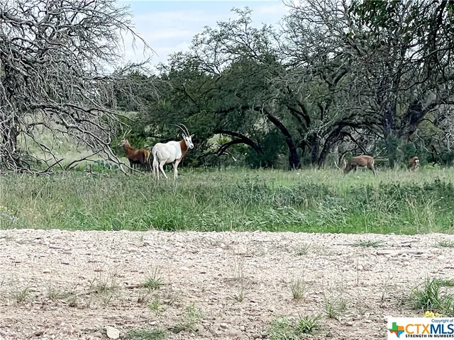 a backyard view with a table and chairs under an umbrella