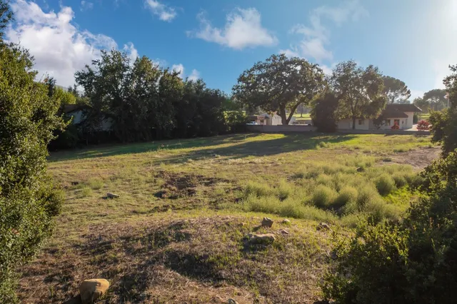 a view of yard with large trees