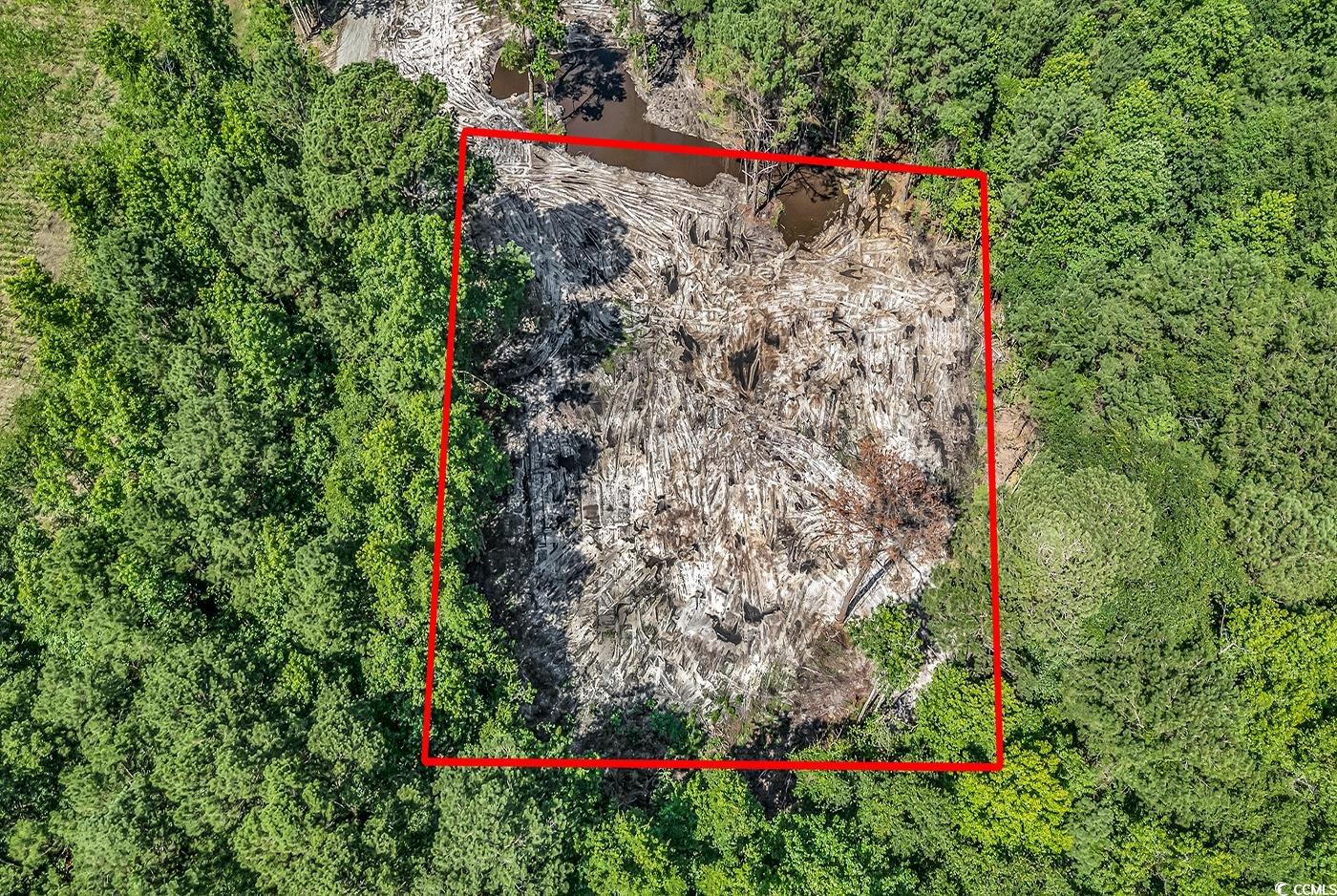 Lot 4 Coats Road Loris, SC 29569 - Photo 1 of 8 Gallery Image 1