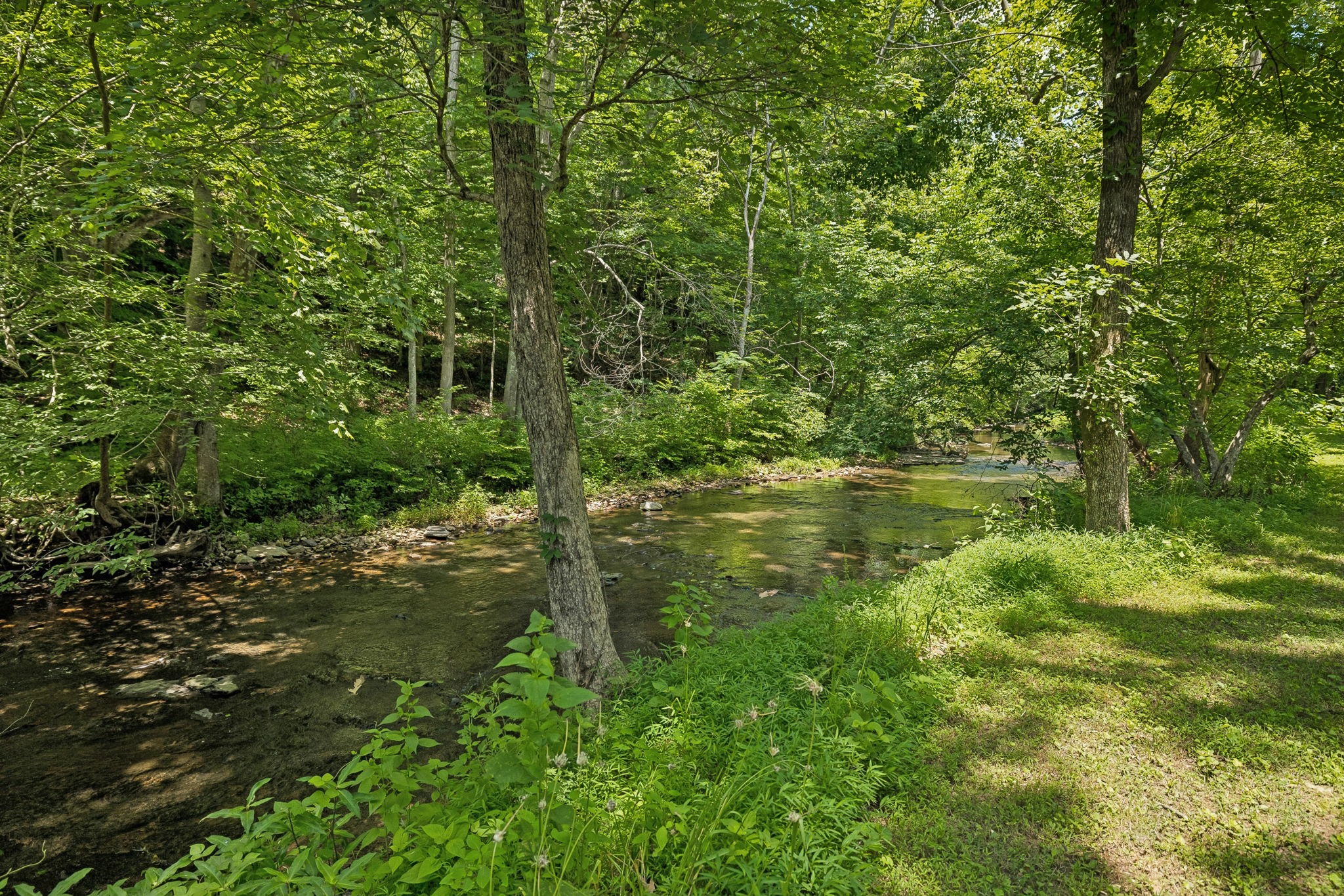 8188 Shoals Branch Road Primm Springs, TN 38476 - Photo 44 of 67 Gallery Image 44