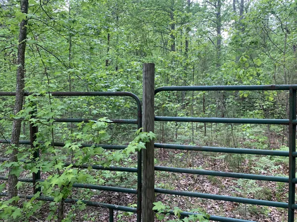 $449,000 | 210 Double Check Lane, Belvidere, TN 37306