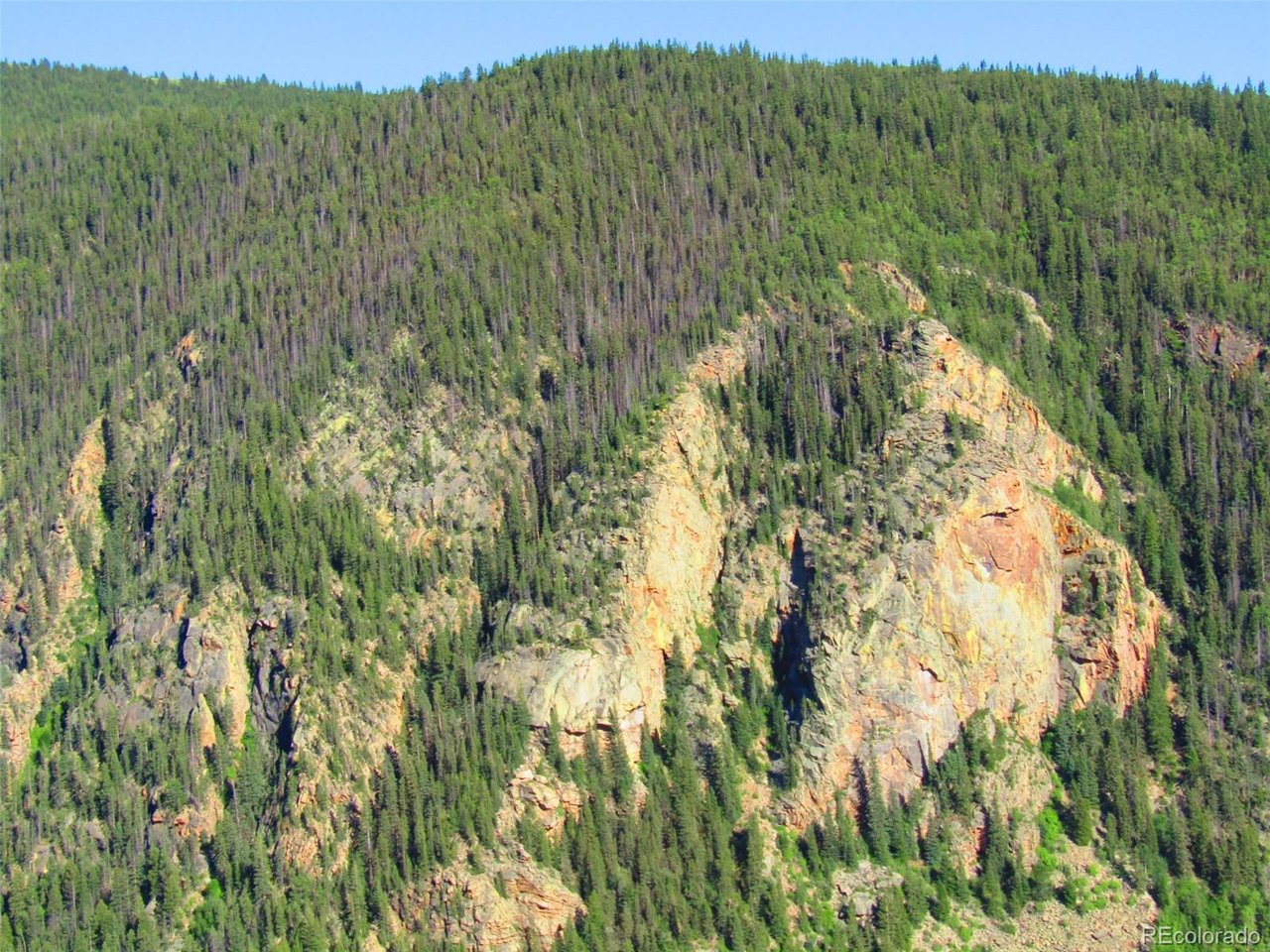 6427 Laffin Road San Luis, CO 81152 - Photo 31 of 42 a view of a lush green forest with trees in the background