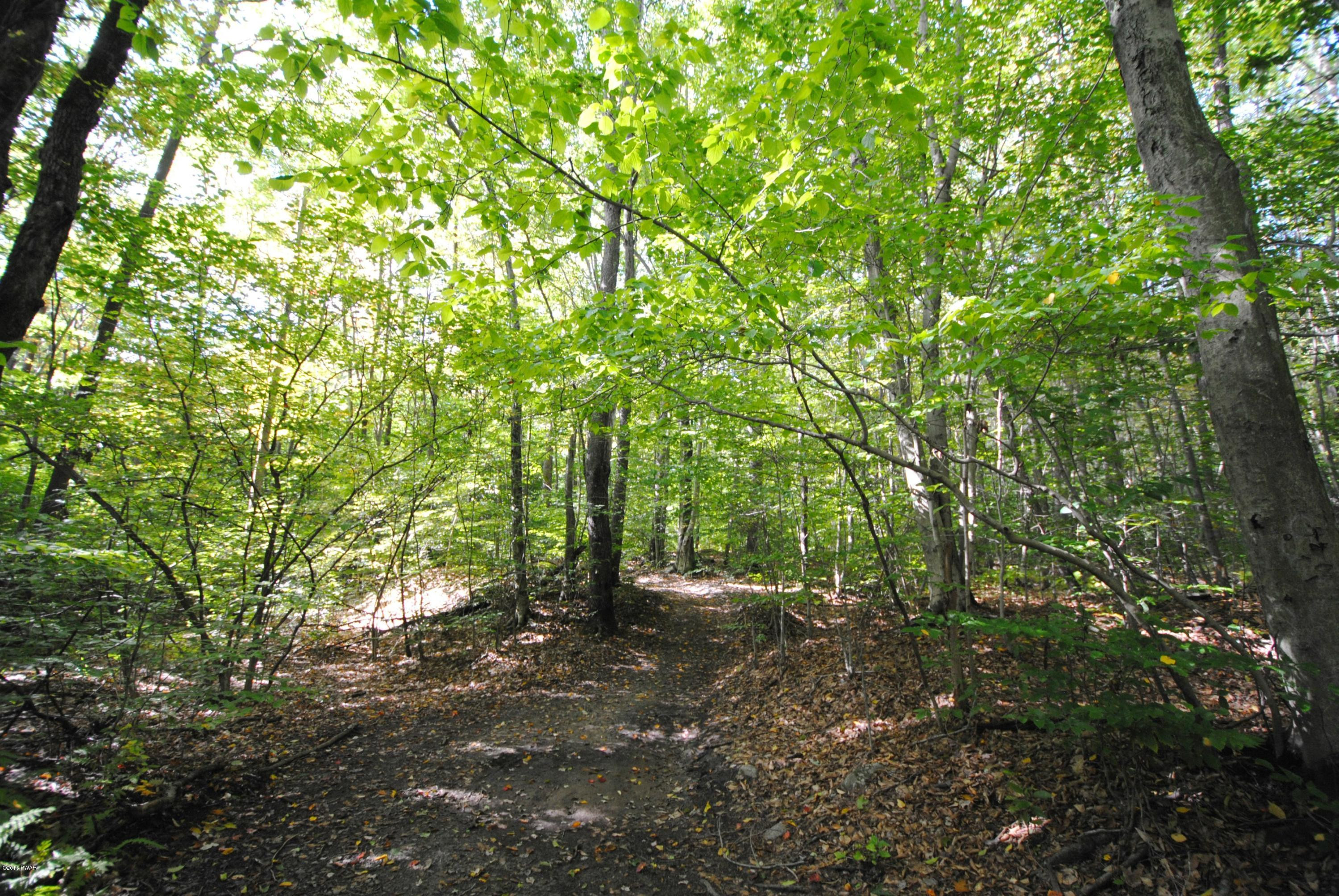 Maple Street Forest City, PA 18421 - Photo 3 of 10