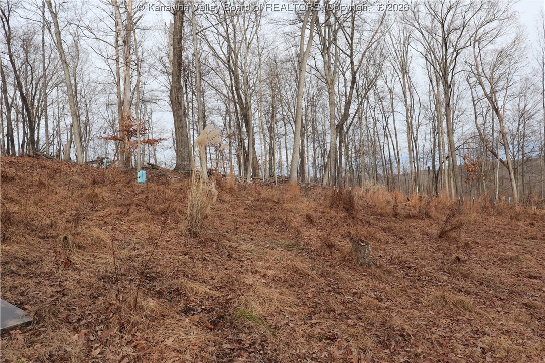 0 Route 12 Road Alum Creek, WV 25003 - Photo 23 of 44 Gallery Image 23